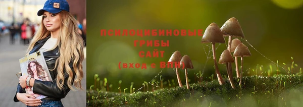 альфа пвп Володарск